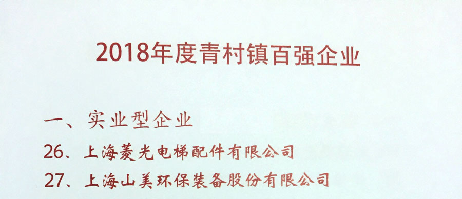 918博天堂股份出席上海青村2019年经济工作会议暨年度颁奖典礼